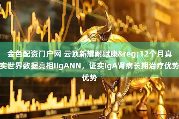 金色配资门户网 云顶新耀耐赋康&reg;12个月真实世界数据亮相IIgANN，证实IgA肾病长期治疗优势