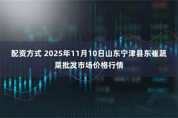 配资方式 2025年11月10日山东宁津县东崔蔬菜批发市场价格行情