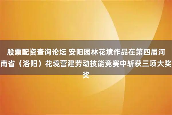 股票配资查询论坛 安阳园林花境作品在第四届河南省（洛阳）花境营建劳动技能竞赛中斩获三项大奖